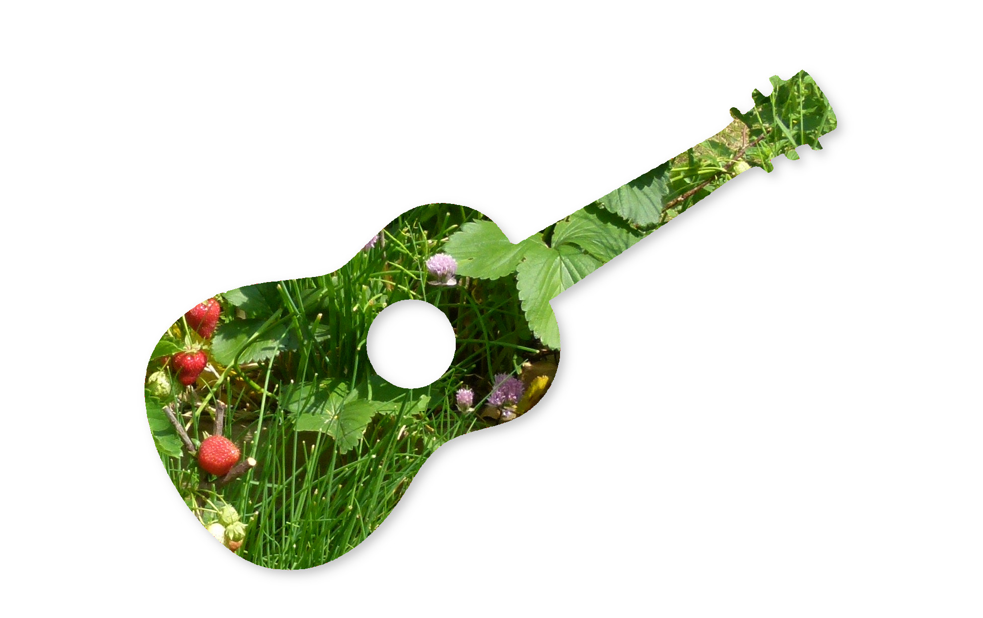 Gitarrenunterricht online